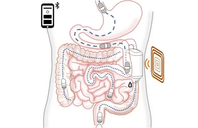 insulin-2.jpg