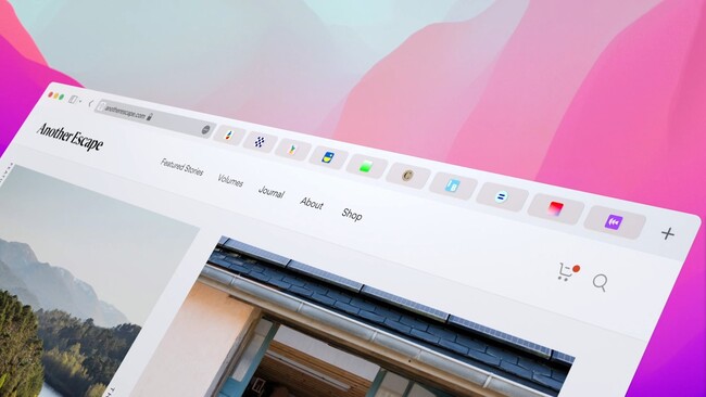 safari.jpg