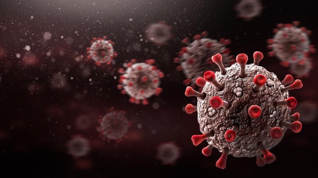 virus-corona-varian-delta-melonjak-di-ri-ini-fakta-faktanya_169.jpeg