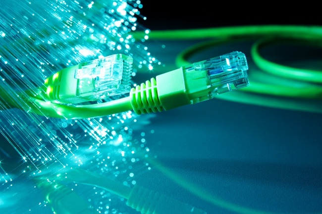 Fibre.jpg
