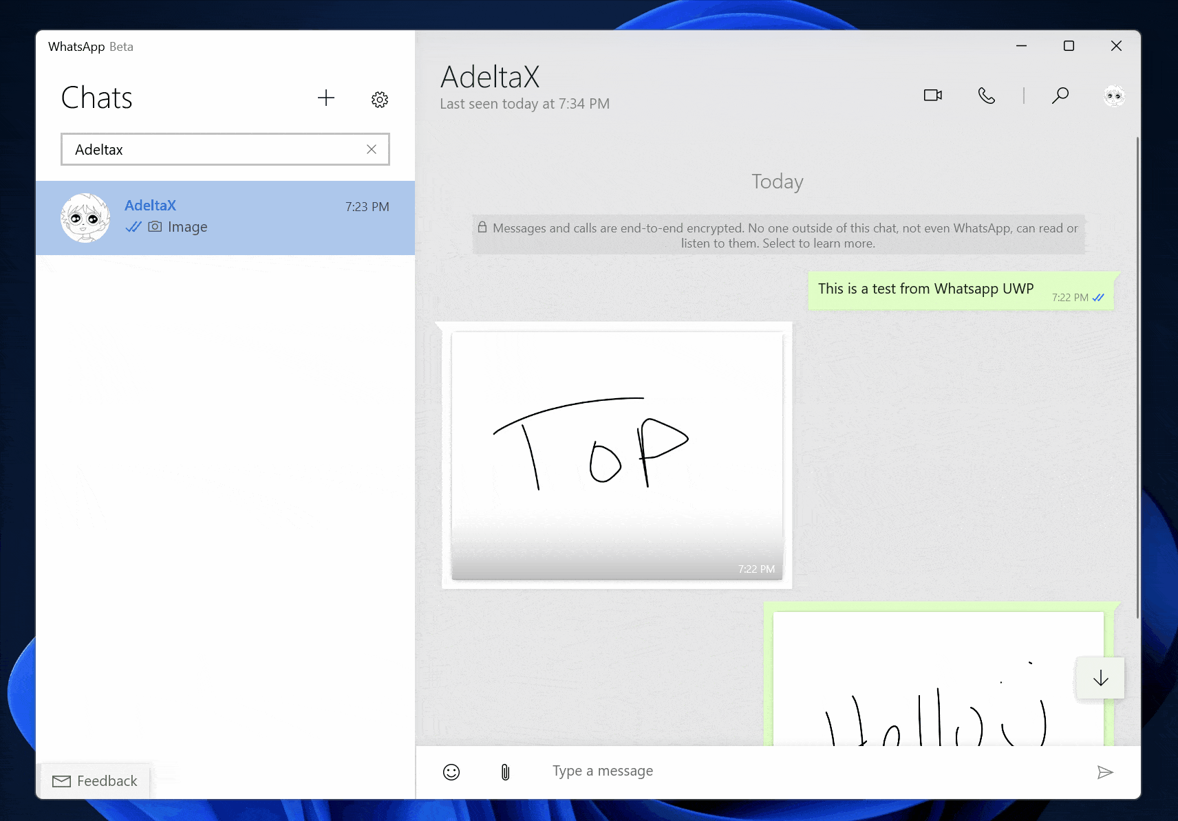 Whatsapp-UWP-2.gif