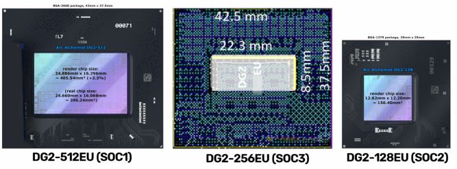dgju-3.jpg