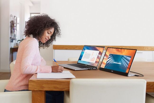 dellportablemonitor2.jpg