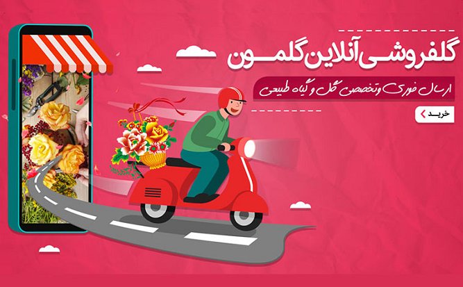 وبسایت گلمون و خدمات آن