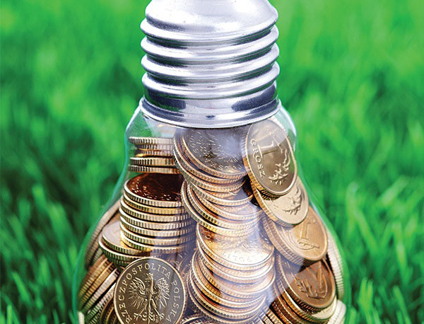 bulb11_0.jpg
