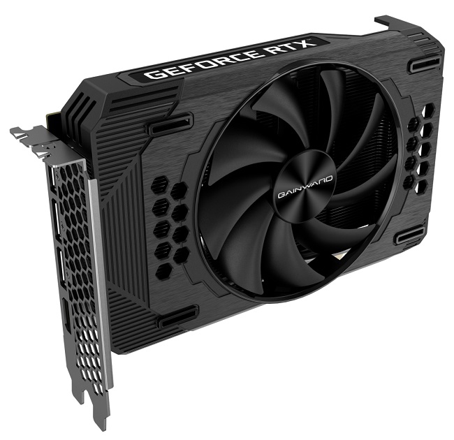 RTX 3060 PEGASUS گینوارد