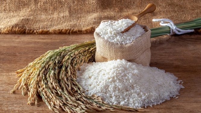فروش اینترنتی برنج در مشهد برنج