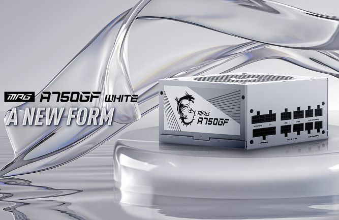 MSi-4.jpg