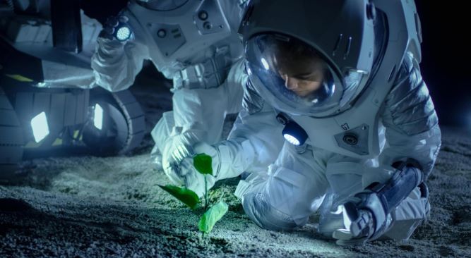 موفقیت دانشمندان در رشد گیاهان در خاک ماه