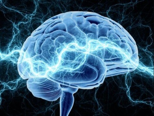 امکان خواندن ذهن افراد با اسکن fMRI