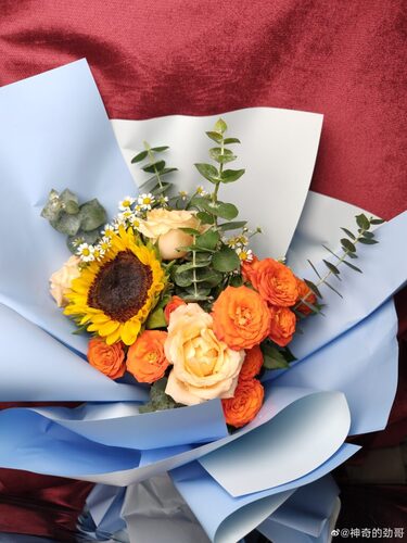 نمونه تصویر گوشی edge 30 ultra