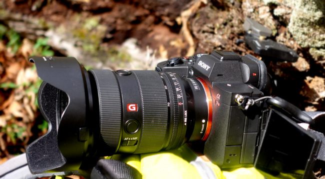 دوربین بدون آینه alpha 7R V با لنز سونی