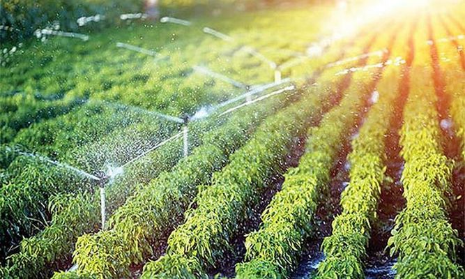 بهبود کیفیت آبیاری