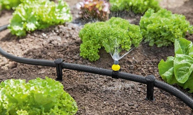 آبیاری با تایمر