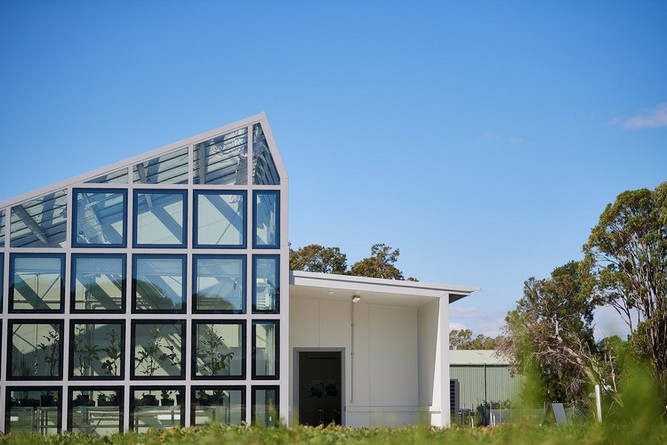 تولید برق با تابش لیزر فمتوثانیه