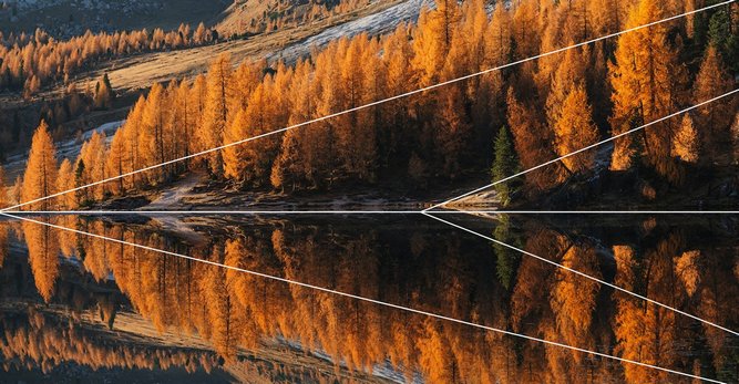 ترکیب هندسی عکاسی در پاییز