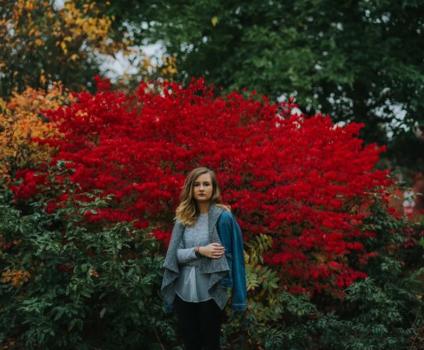 عکاسی با رنگ های مکمل در پاییز