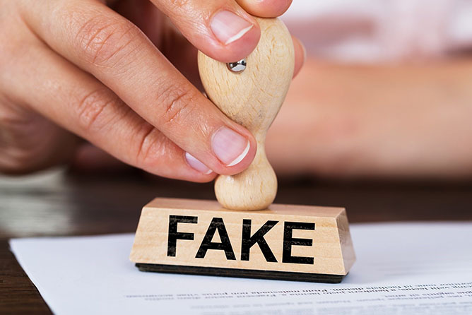 fake-c3.jpg