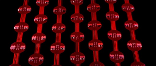 لباس Project Primrose