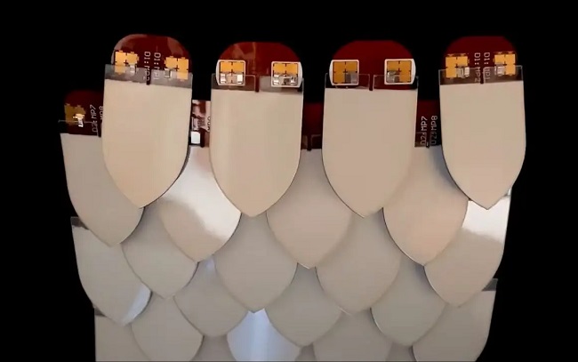 ادوبی Project Primrose