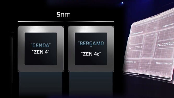 پردازنده amd zen4c