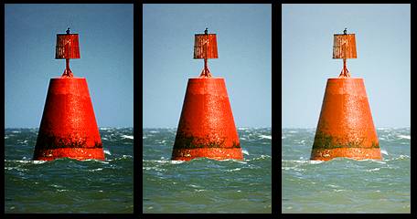 گاما نمایشگر ایسوس