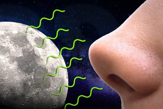 استشمام بوی کره ماه