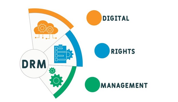 تفاوت فرمت mkv و mp4