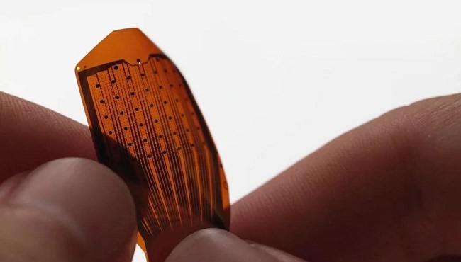 موفقیت شرکت Precision Neuroscience در کاشت تراشه روی مغز انسان