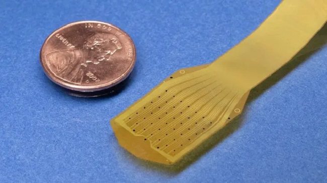 موفقیت شرکت Precision Neuroscience در کاشت تراشه روی مغز انسان