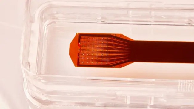 موفقیت شرکت Precision Neuroscience در کاشت تراشه روی مغز انسان