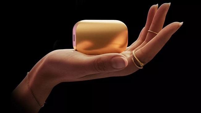 حافظه‌های SSD قابل حمل Beetle X31