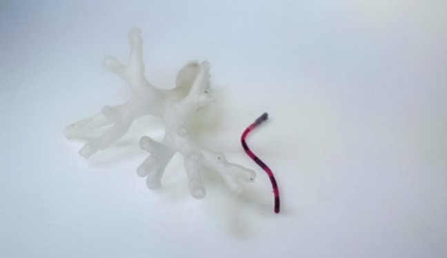 ربات کوچکی که سرطان ریه را درمان خواهد کرد