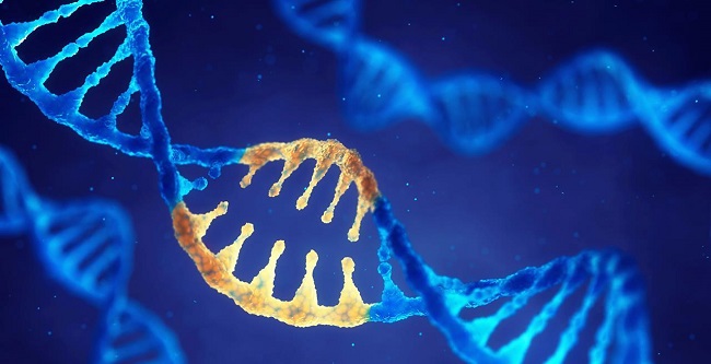 DNA قابل برنامه‌ریزی