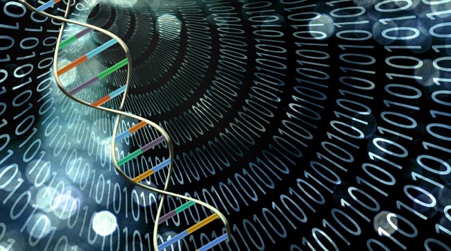 محاسبات مبتنی بر DNA