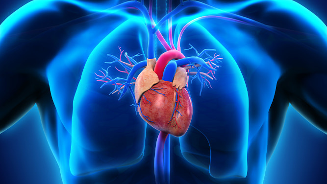 اولین جلیقه ECG برای ثبت فعالیت الکتریکی قلب