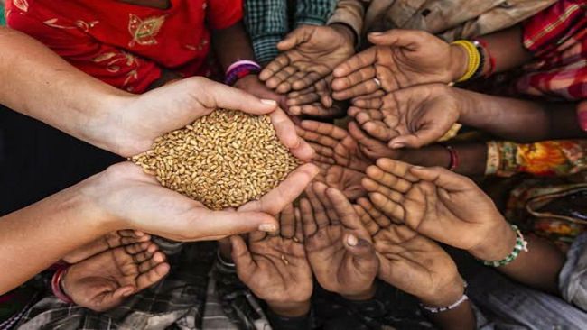 اولین خاک الکترونیکی در جهان
