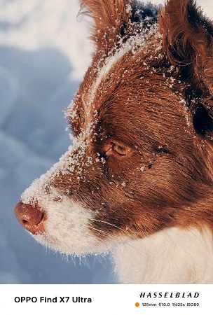 اولین نمونه تصاویر دوربین پریسکوپی دوگانه Find X7 Ultra