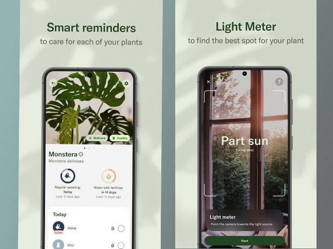 برنامه پرورش گل و گیاه