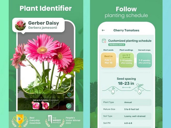 اپلیکیشن مراقبت از گل