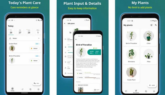 برنامه‌های مراقبت از گل برای گوشی