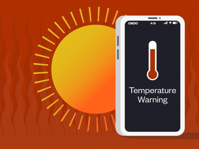 برنامه‌های پردازشی