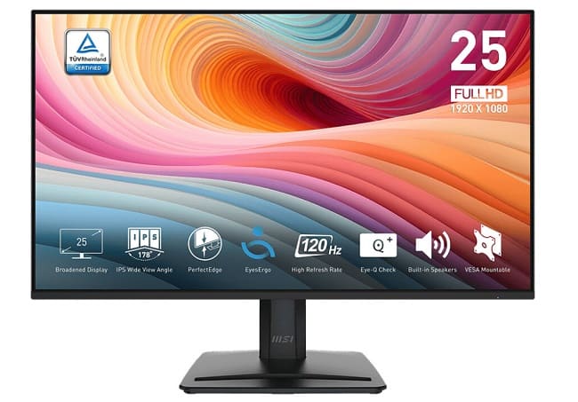 مشخصات نمایشگر MSI PRO MP251 E2