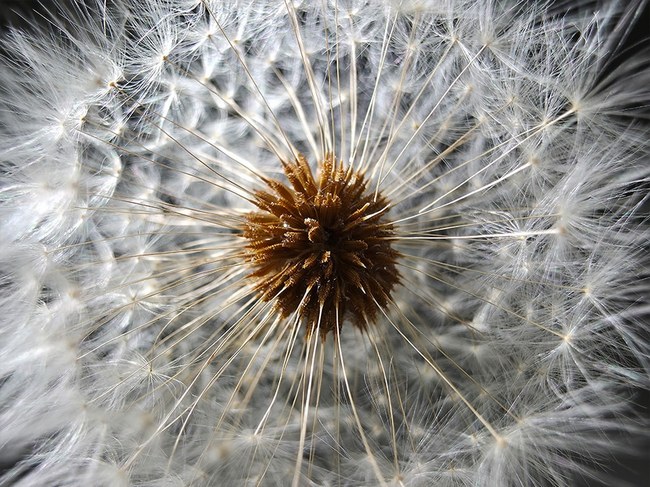 عکس با دوربین اس 25 اولترا