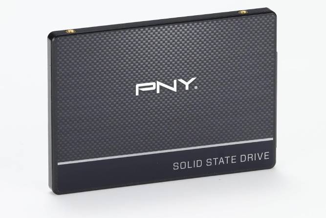 PNY-1.jpg
