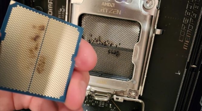 پردازنده Ryzen 7 9800X3D