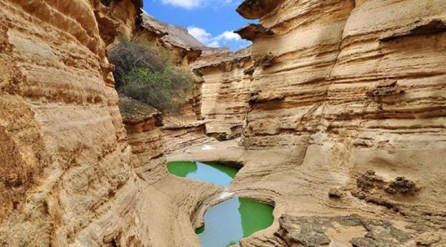 جاهای دیدنی کیش که نباید از دست داد