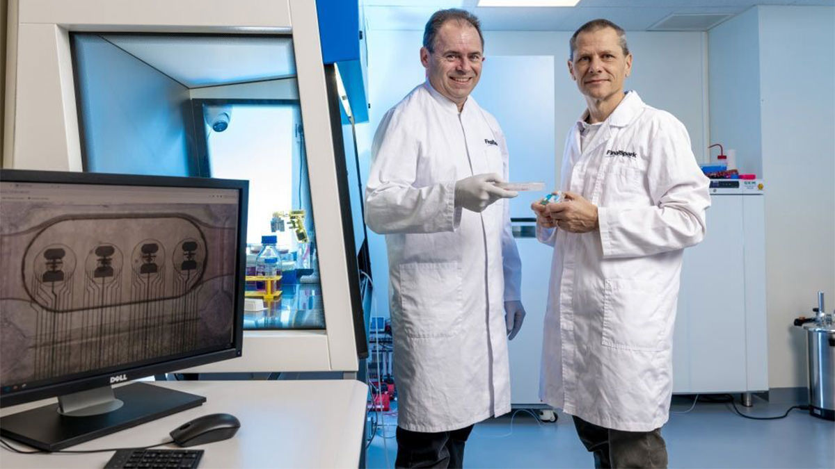 اولین پردازنده زیستی جهان با ارگانوئیدهای مغز انسان