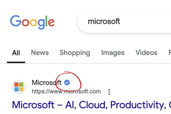 Google444.webp
