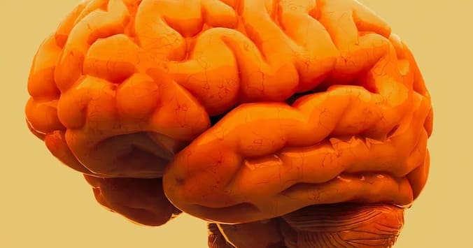 رساندن دارو به مغز با دستگاری ژنتیک انگل